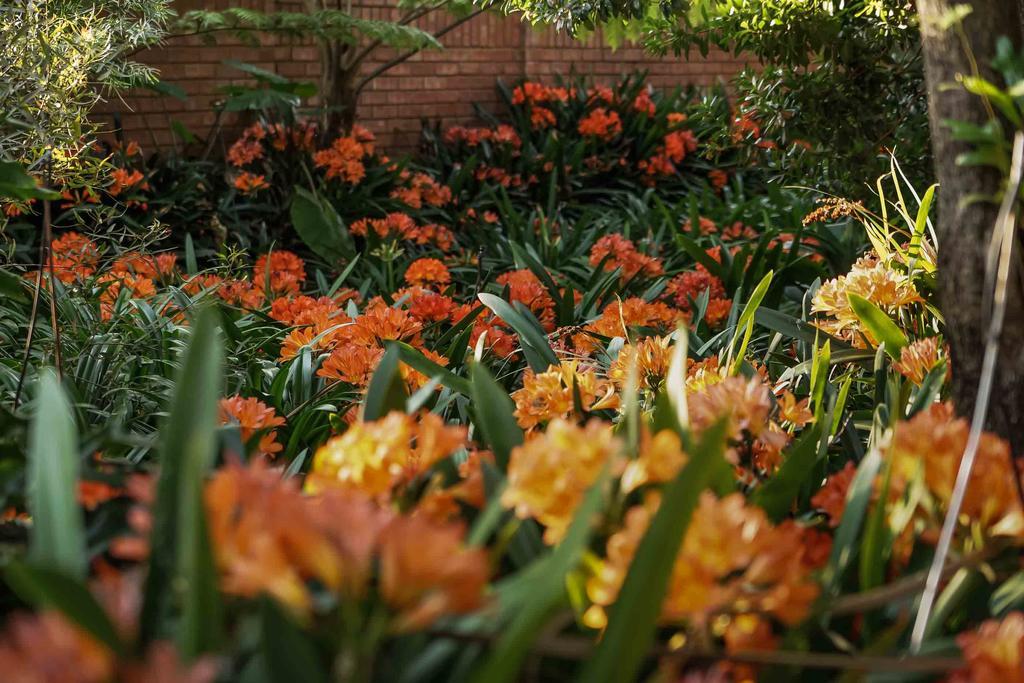 Hudson House Hotel Pretoria-Noord Eksteriør billede
